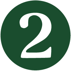 Step 2 indicator icon