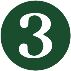 Step 3 indicator icon